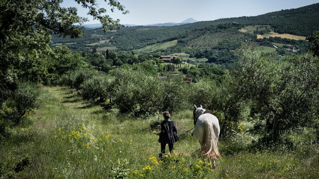 Στο κτήμα υπάρχουν 40 άλογα. 