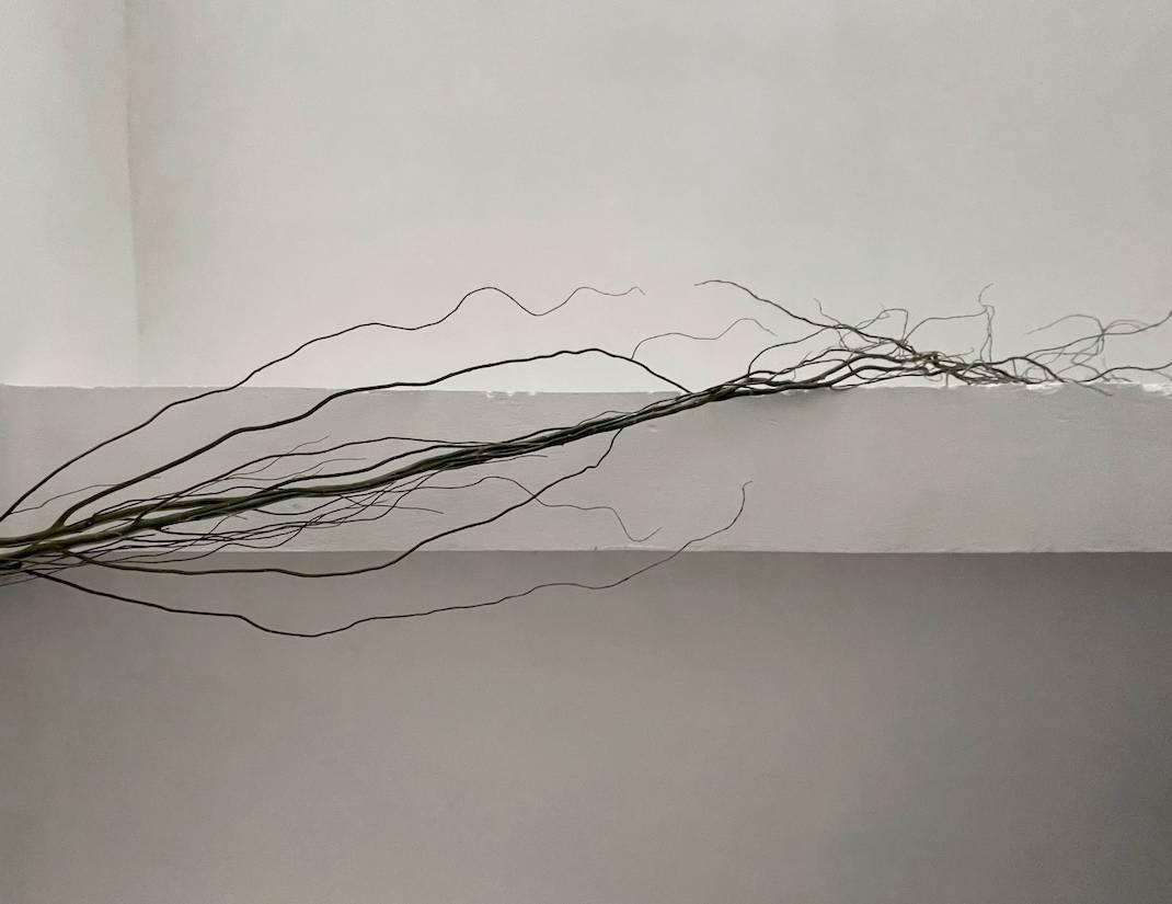 RIZOM Athens, 土神, 2022, In-situ Installation, tree branches, soil, moss, clay, rope, Variable Dimensions, Courtesy of the Artists