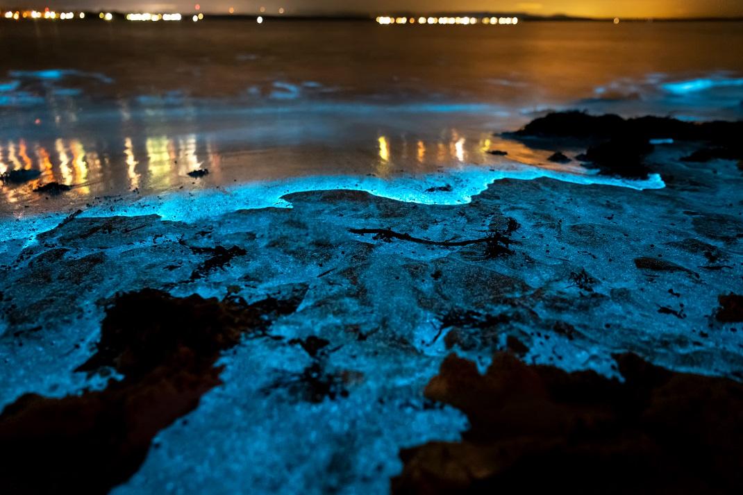 Φωτογραφία: Shutterstock/ Jervis Bay,  Australia  