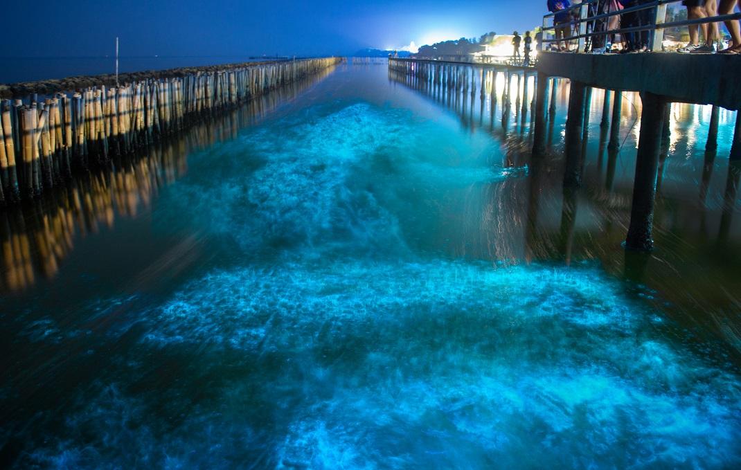 Φωτογραφία:Shutterstock/ Khok Kham ,Samut Sakhon near Bangkok Thailand 