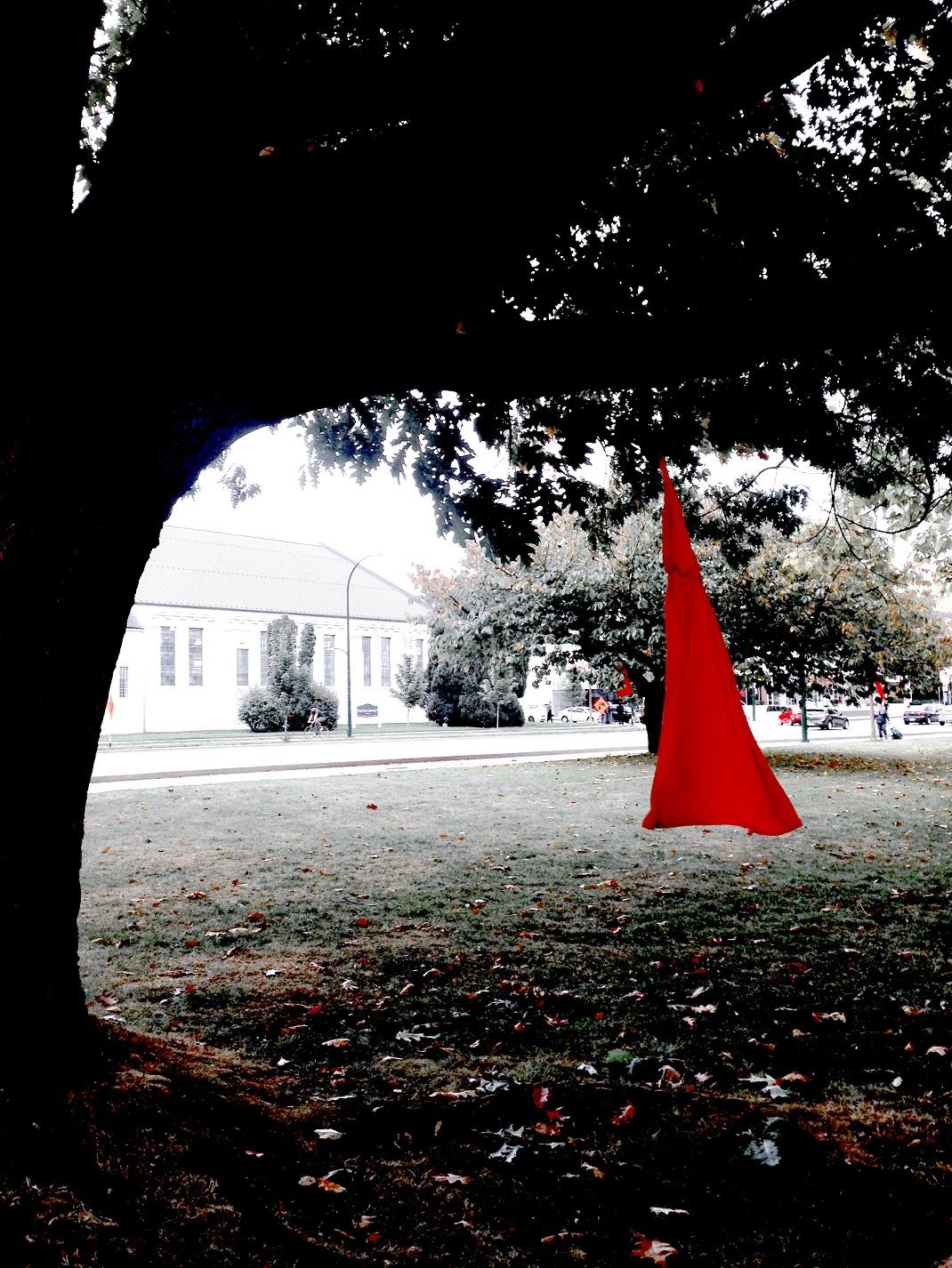 Red Dress Project