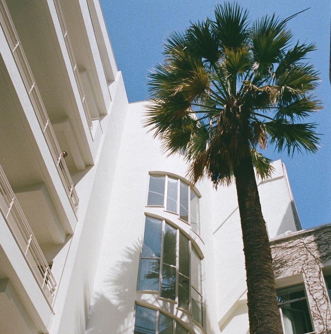 Apollo Palm Hotel