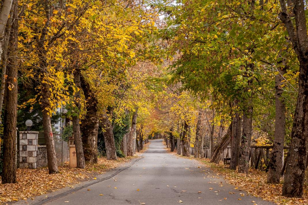 Ο Δρόμος Της Αγάπης, Βυτίνα, Φωτογραφία: shutterstock