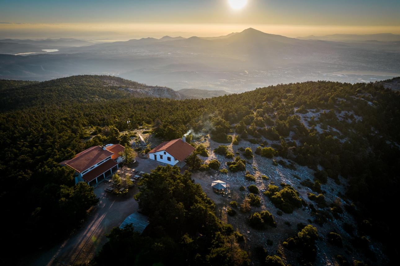 Στο καταπράσινο ελατόδασος της Πάρνηθας, στη θέση Φλαμπούρι.