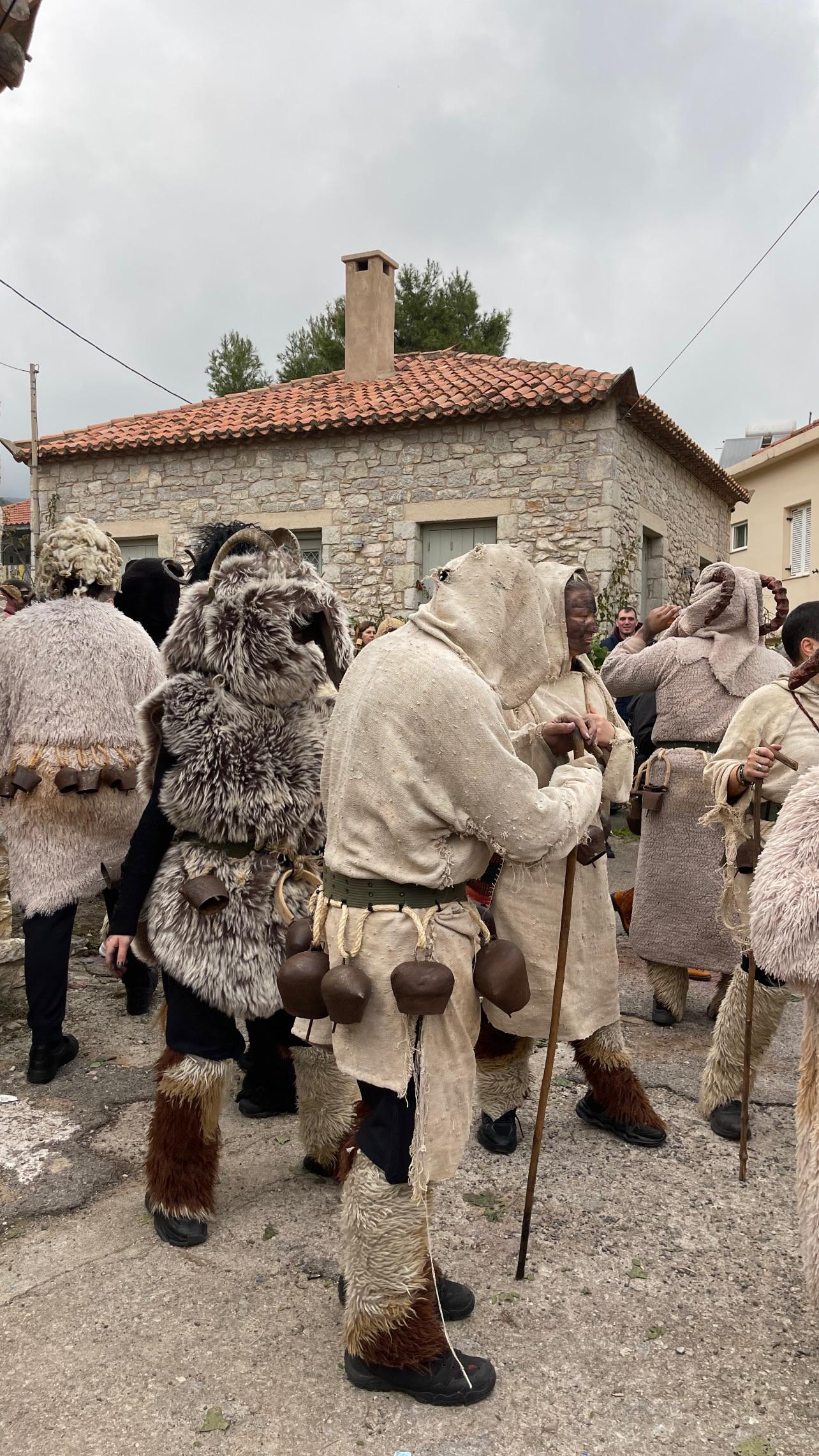 Καρναβάλι του Μαλλιαρού/ Φωτογραφία: Instagram