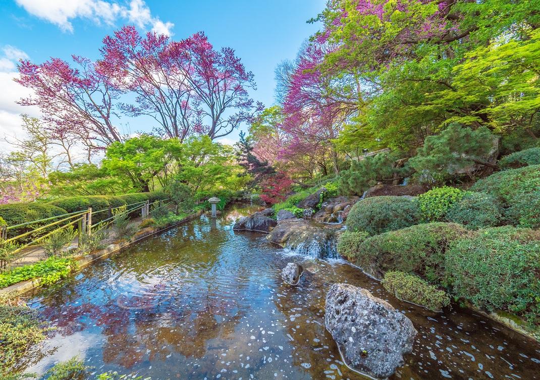 Orto Botanico/ Shutterstock