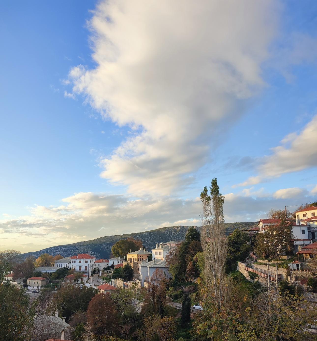 Πορταριά/ Φωτογραφία: Αριστοτέλης Σπηλιωτόπουλος