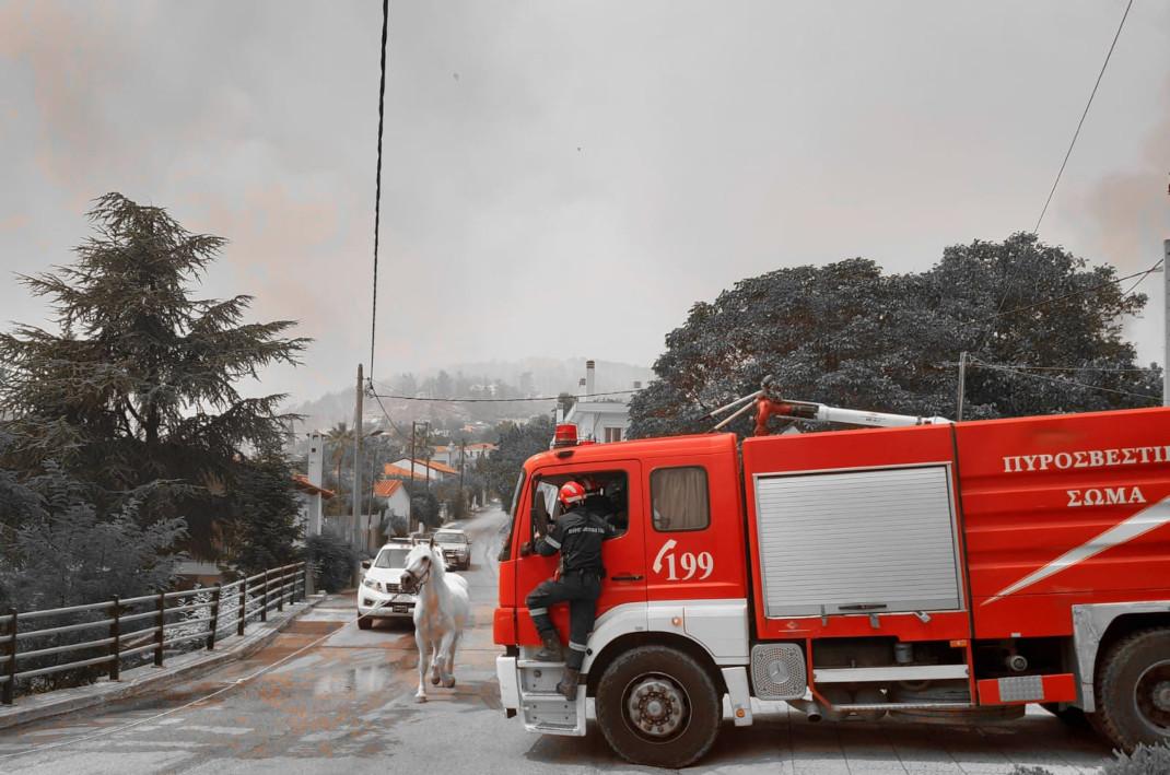 Η Πυροσβεστική στη μάχη με τις φλόγες