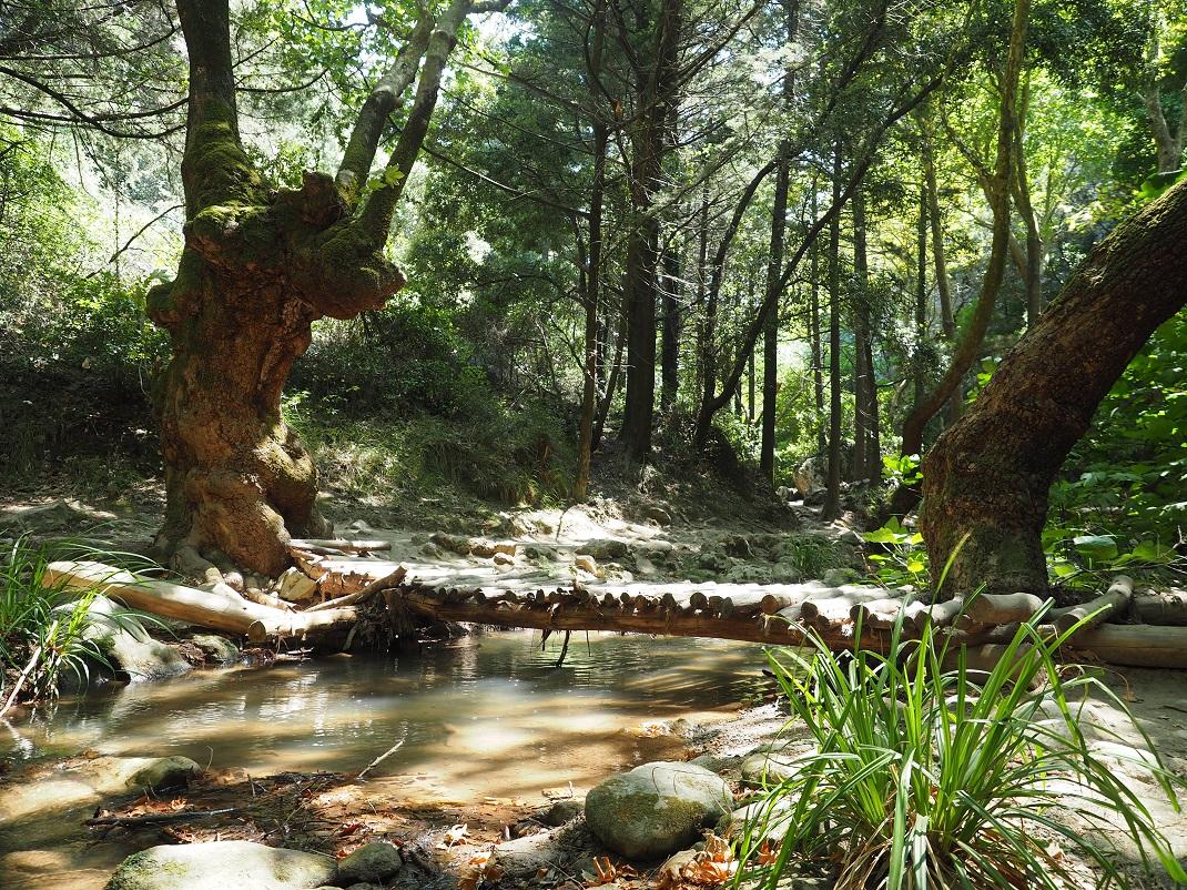 Καταρράκτες, Σάμος/ Shutterstock