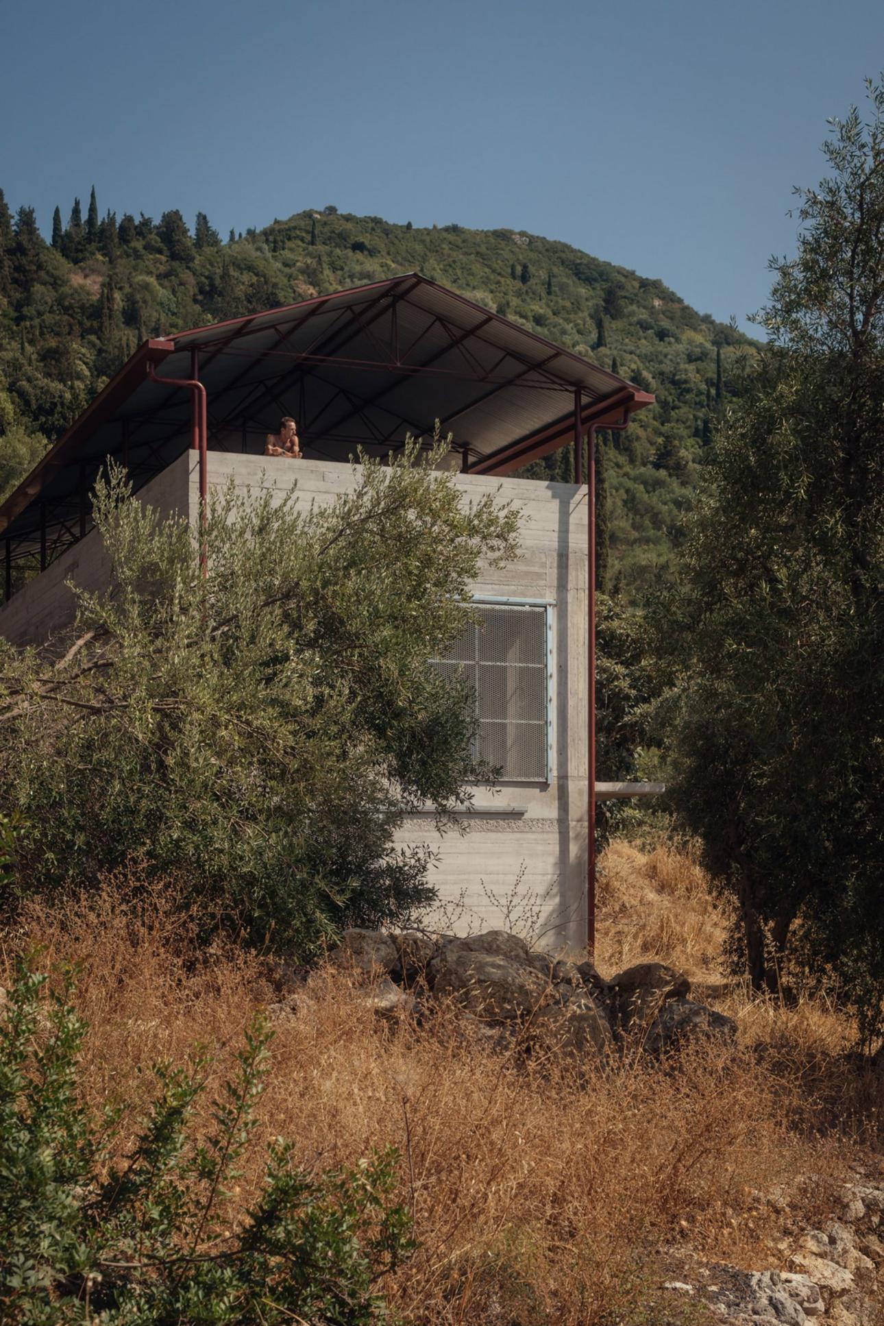 Ο Piers Taylor σχεδίασε το House in an Olive Grove