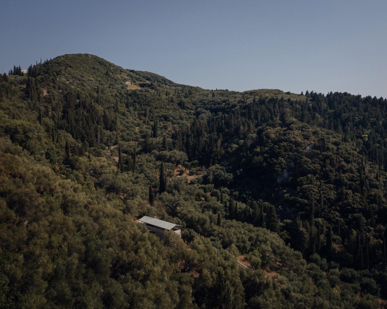 Ενα σπίτι μέσα σε έναν υπέροχο ελαιώνα