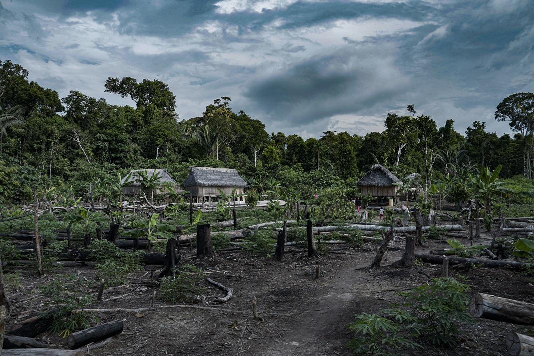 Matis village, Amazon Forest Brazil