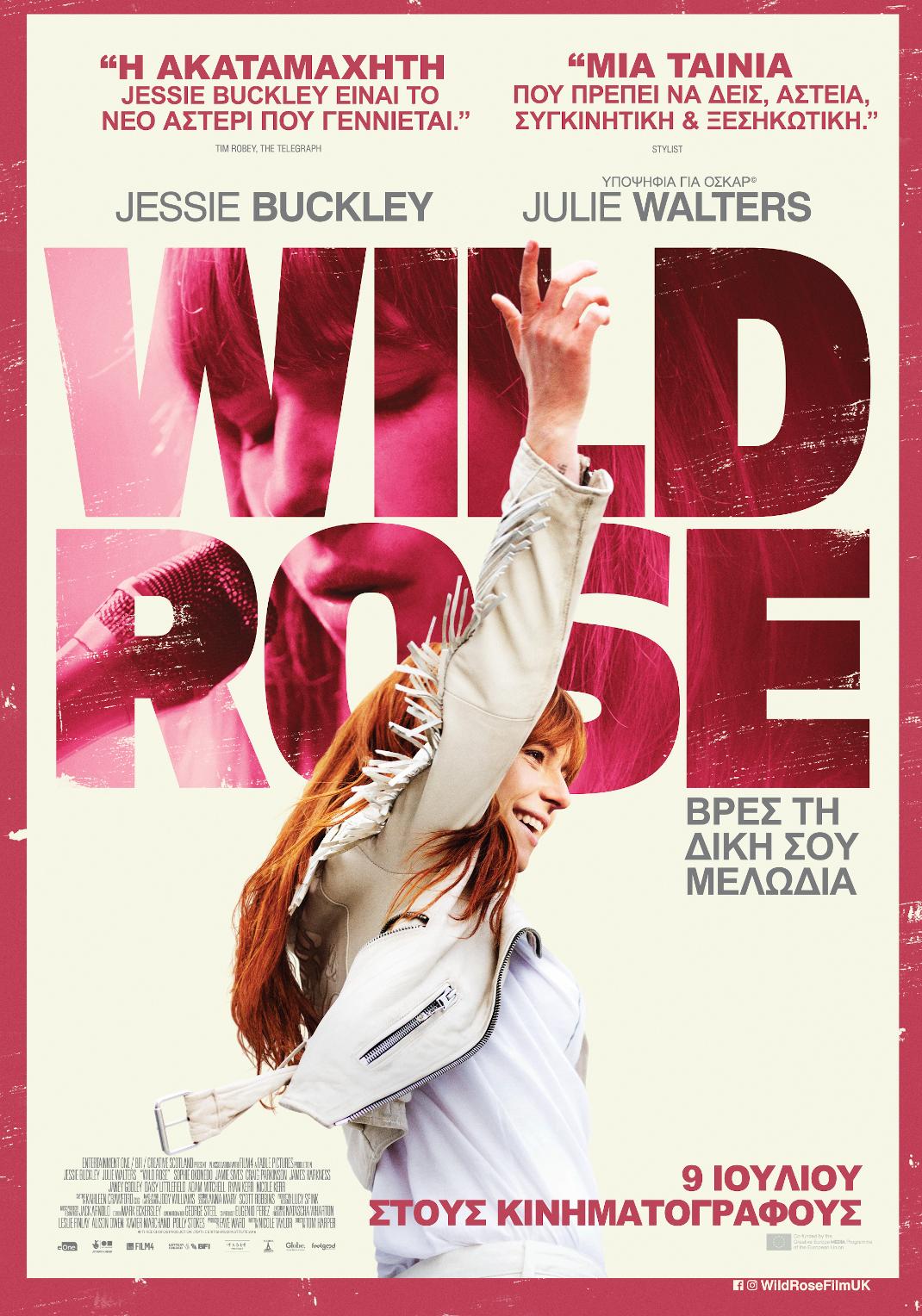 Wild Rose﻿