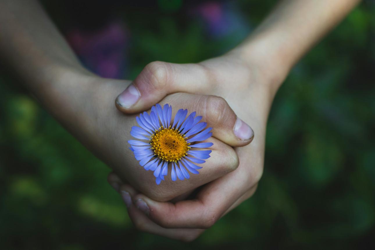 Φωτογραφία: Unsplash