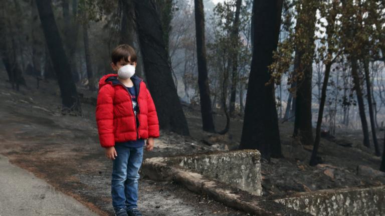 Ένα παιδί με μάσκα σε καμένο δάσος