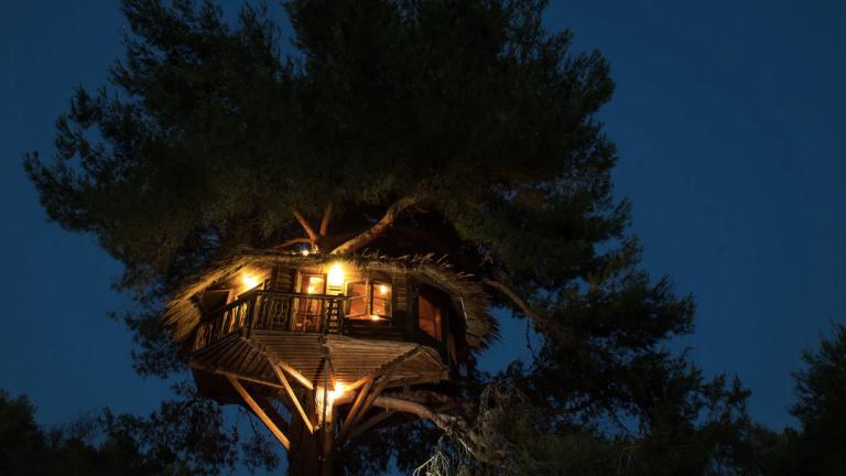 Tree-House