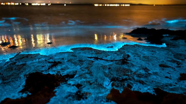 Jervis Bay, Australia 