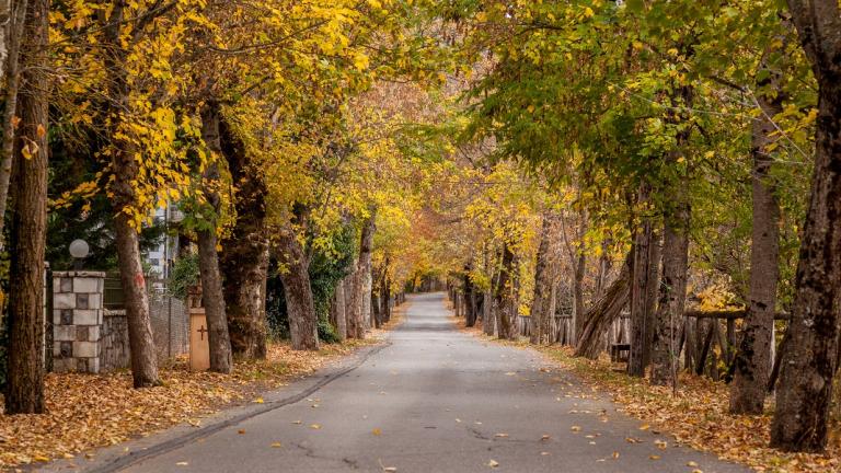 Ο δρόμος της Αγάπης, Βυτίνα, Φωτογραφία: Shutterstock