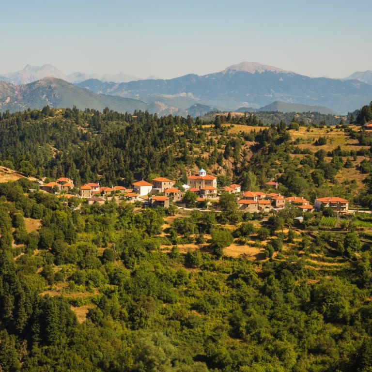 Τα Φιδάκια της Ευρυτανίας