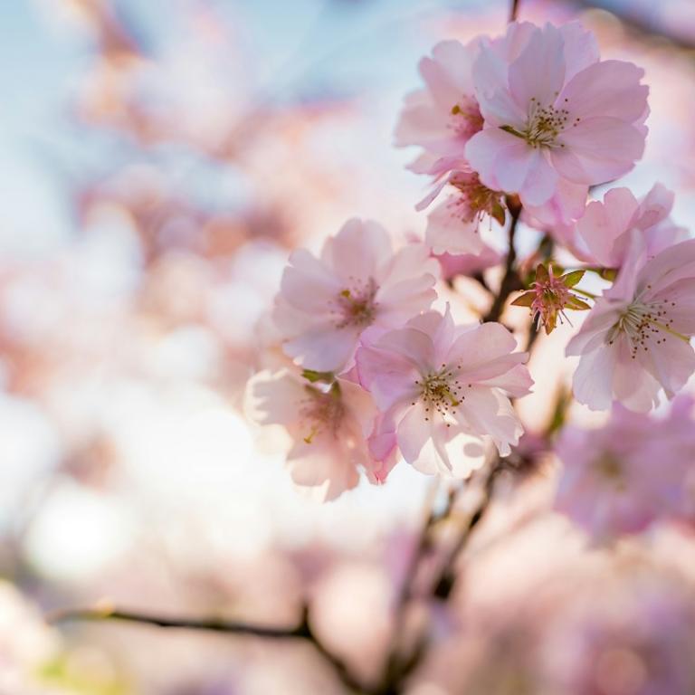 Φωτογραφία Unsplash